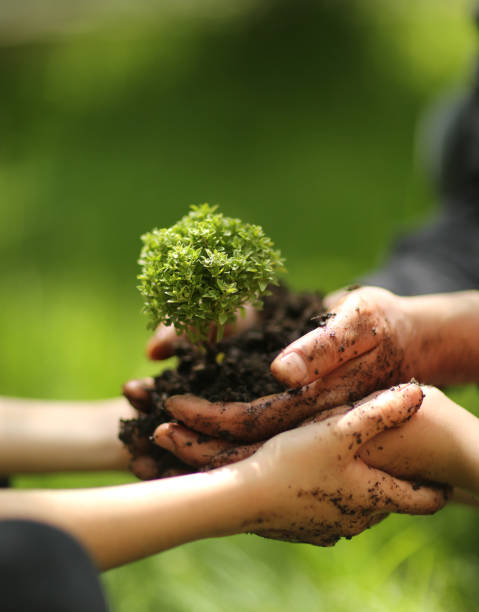 Growing concept eco Group hand children planting together on soil backgroud