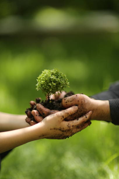 istock Growing concept eco Group hand children planting together on soil backgroud 961556858