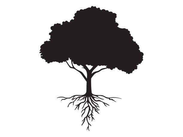 Vector black shape silhouette of a tree with roots Hand drawn black icon of an isolated tree with roots. Element for decoration, emblems, logo tree silhouettes stock illustrations