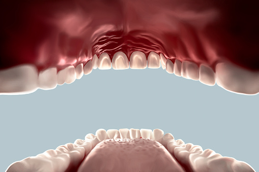 human mouth open view from the inside looking out, teeth, tongue isolated on white
