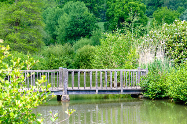 istock A wooden bridge in lush foliage in summer 961562344