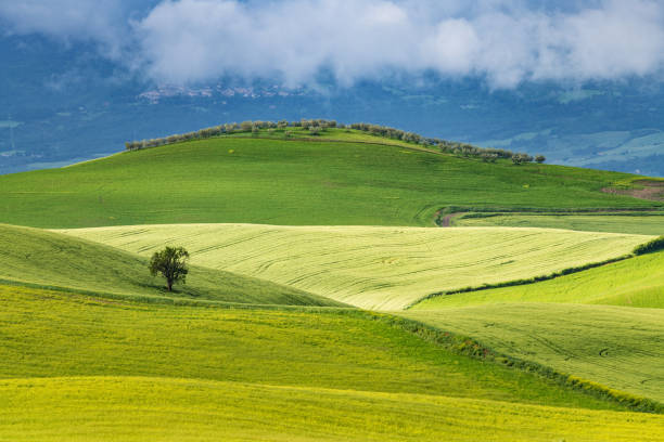 istock Sunny afternoon in Tuscany, Val d'Orcia, Italy 961565700