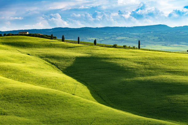 istock Sunny afternoon in Tuscany, Val d'Orcia, Italy 961566128