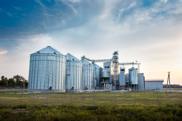 istock Big group of grain dryers complex for drying wheat. Modern grain silo. Agriculture concept 961567926