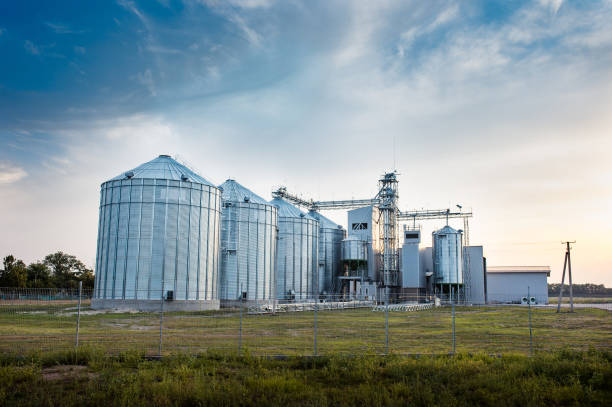 Big group of grain dryers complex for drying wheat. Modern grain silo. Agriculture concept Big group of grain dryers complex for drying wheat. Modern grain silo. Agriculture concept granary stock pictures, royalty-free photos & images