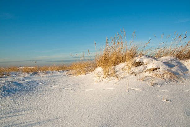 istock Sea dunes covered with snow 96157023