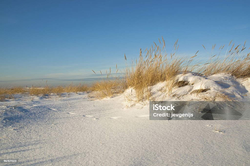 Sea dunes covered with snow  Beach Stock Photo