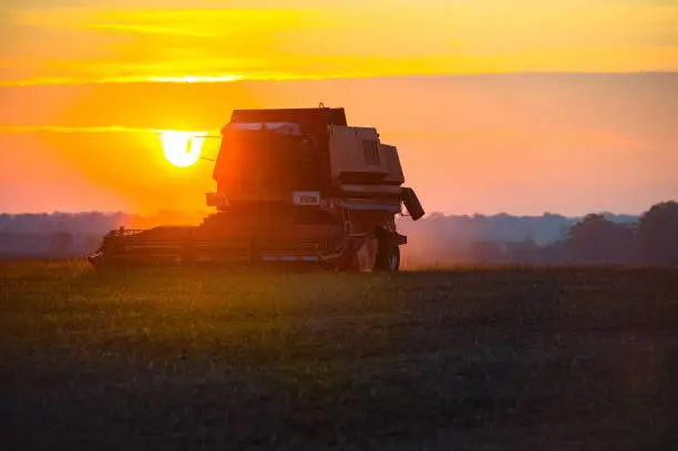 Photo of harvester harvesting on the field at sunset