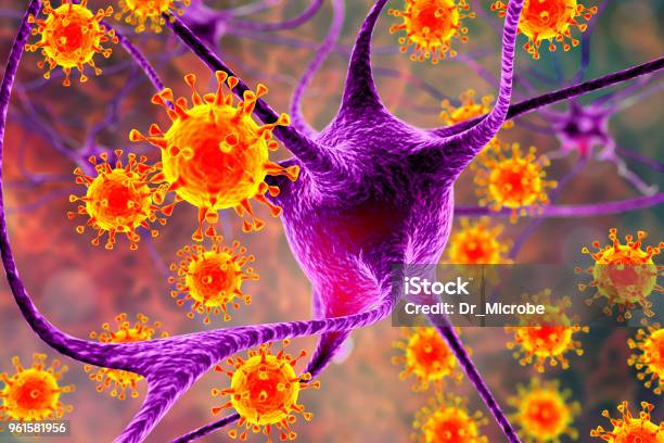 Viren Infizieren Neuronen Konzept Für Gehirninfektion Stockfoto und mehr Bilder von Meningitis