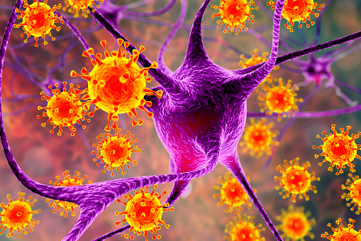 Virus que infecta a las neuronas, concepto de infección en el cerebro photo