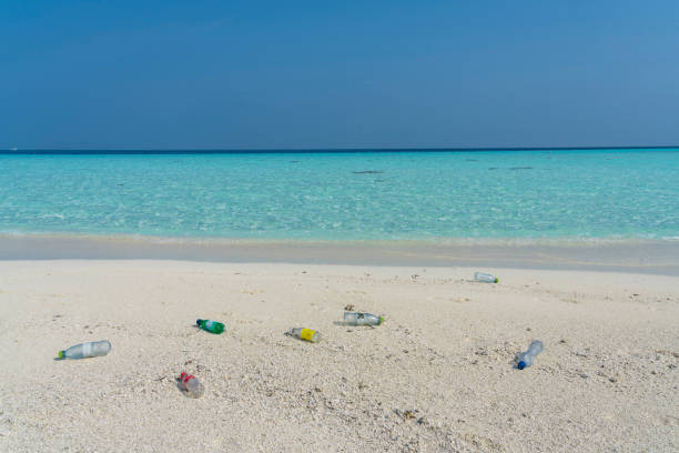 Front view empty plastic bottles on white sandy beach partly against turquoise sea and blue sky.
