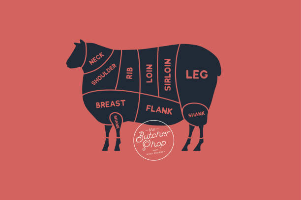 istock Meat cuts. Diagrams for butcher shop. Scheme of lamb. 961585654