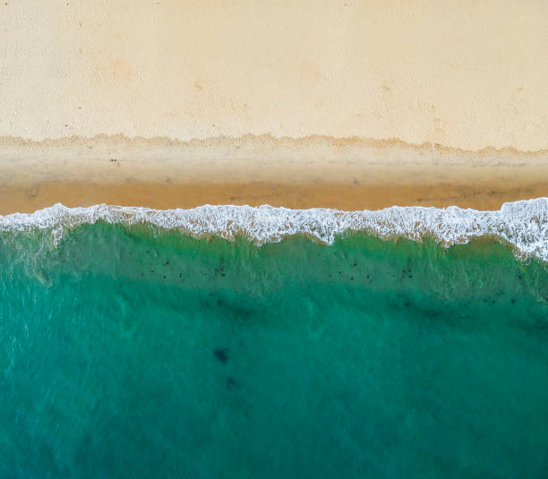 Aerial view of the beach Aerial view of the beach, drone photography florida beach above stock pictures, royalty-free photos & images