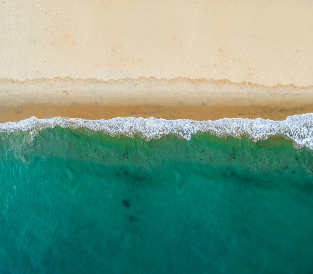 вид с воздуха на пляж - waterside стоковые фото и изображения