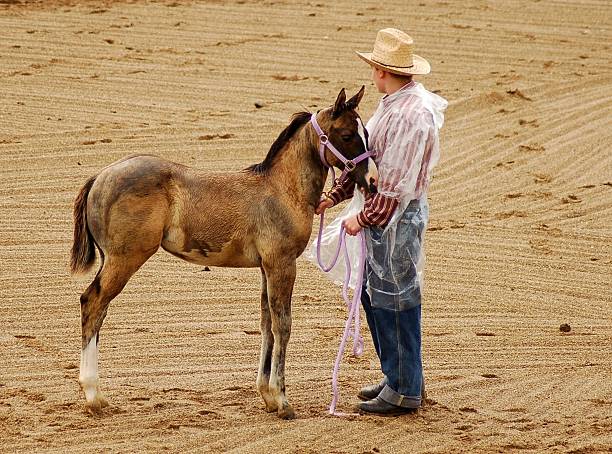 visualizzazione in pioggia - color image cowboy plastic people foto e immagini stock