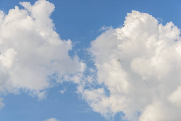 International Kite Festival. Dozens of flying serpents launched into the sky are of different shapes and forms.