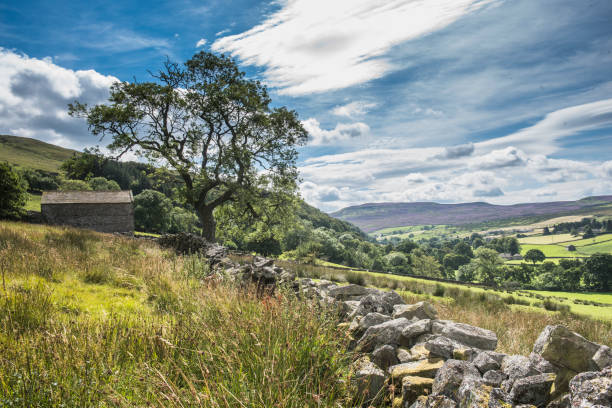 istock landscape in summer in the Yorkshire Dales 961595928
