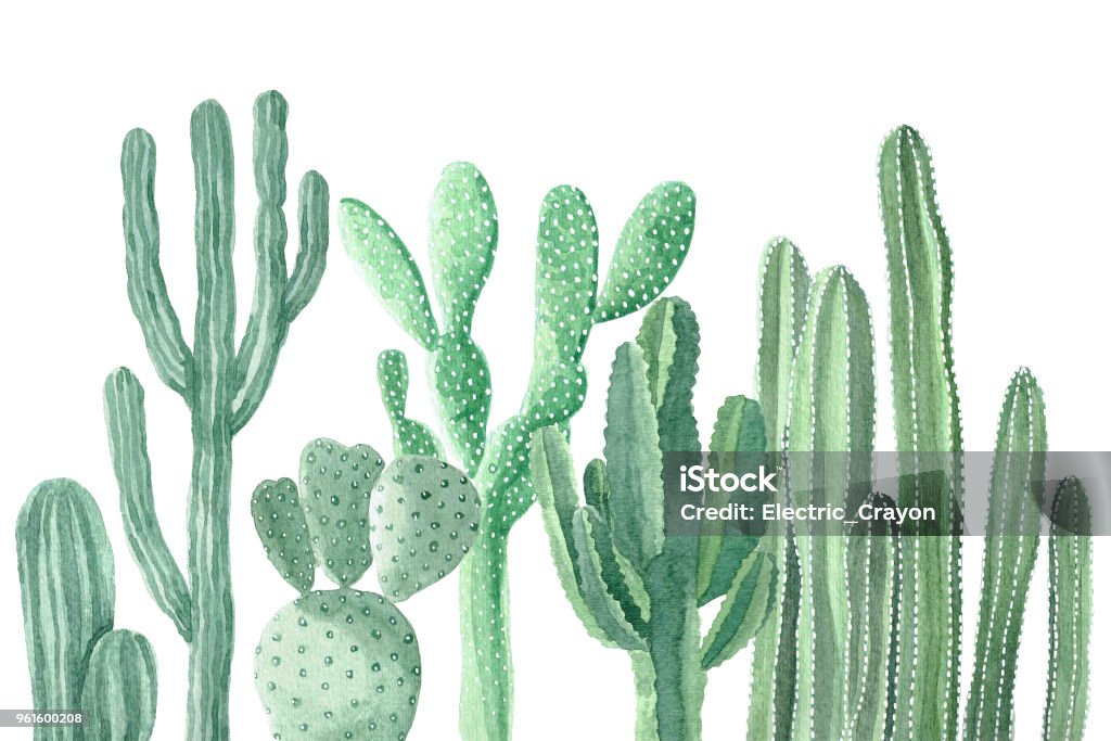 Watercolor Cactus and Succulents Watercolor Cactus and Succulents Bouquet Arrangement Cactus stock illustration