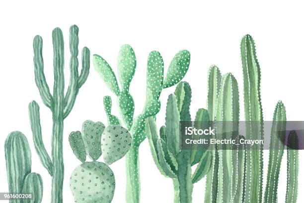 Watercolor Cactus And Succulents Stock Illustration - Download Image Now - Cactus, Watercolor Painting, Painting - Activity