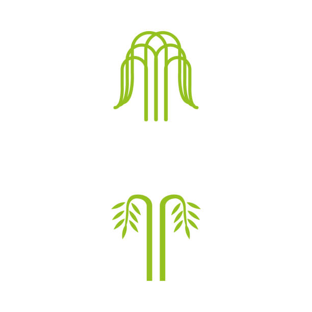 tree 16 a set of tree icons willow tree stock illustrations