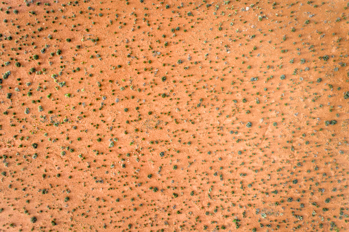 aerial view of a desert with coarse vegetation near Moab, Utah