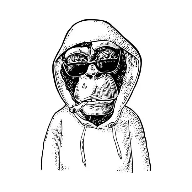 Vector illustration of Monkey hipster with cigarette dressed in the hoodie. Vintage black engraving