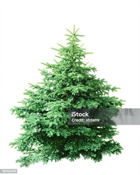 Photo libre de droit de Sapin De Noël banque d'images et plus d'images libres de droit de Objet ou sujet détouré - Objet ou sujet détouré, Sapin, Sapin de Noël