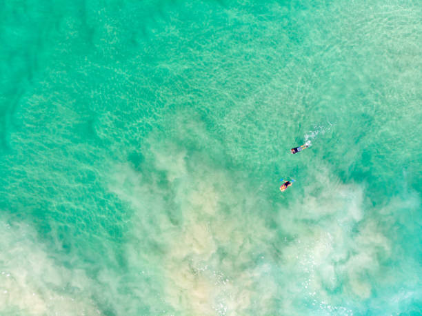 australian coastline with surfers - cabarita beach imagens e fotografias de stock