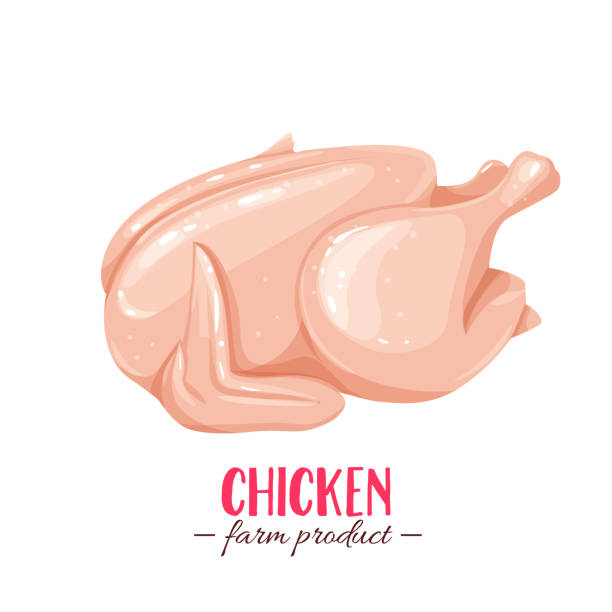illustrations, cliparts, dessins animés et icônes de du poulet cru - raw