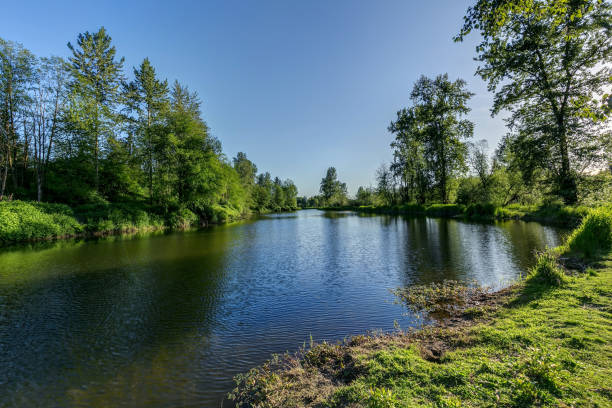 lake in spring - langley imagens e fotografias de stock