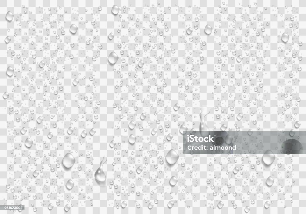 Realistic water droplets on the transparent window. Vector Drop stock vector