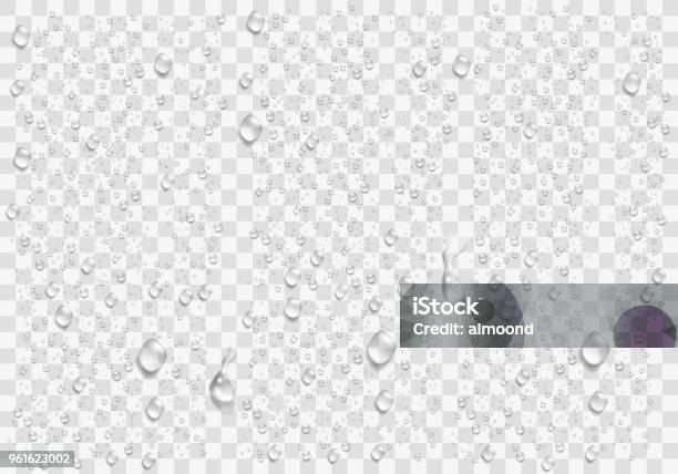 Realistic Water Droplets On The Transparent Window Vector Stock Illustration - Download Image Now
