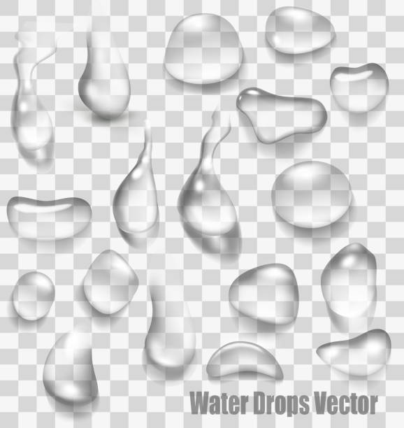 капли воды на прозрачном фоне. вектор. - water drop backgrounds macro stock illustrations