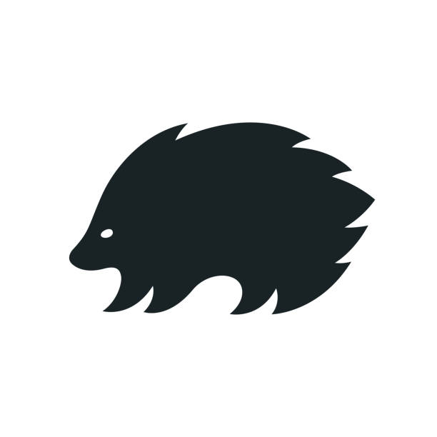 Porcupine silhouette icon Stylized cartoon porcupine or hedgehog silhouette. Simple animal outline icon vector illustration. porcupine hedgehog rodent animal stock illustrations