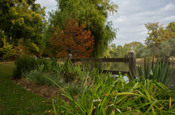 fence in botanical gardens with lake in background