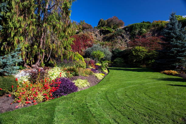 istock Fragment of  City Park 961624658