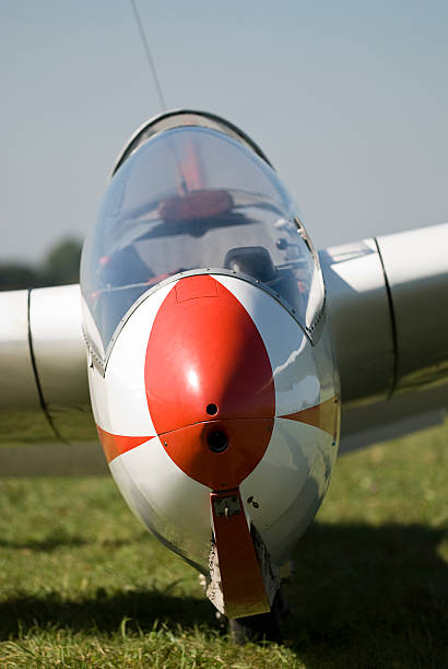 istock Portrait of a glider on grass 96162486
