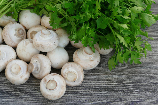 istock edible culture mushroom 961642544