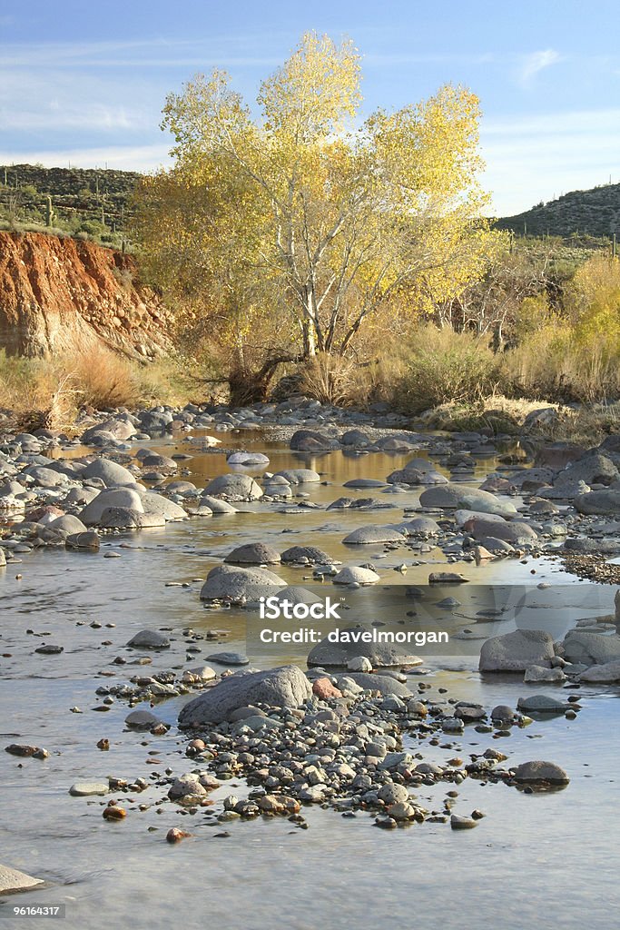 Desierto Creek en otoño - Foto de stock de Aire libre libre de derechos