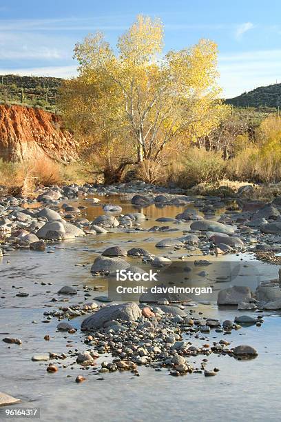 Desierto Creek En Otoño Foto de stock y más banco de imágenes de Aire libre - Aire libre, Arizona, Bosque Nacional de Tonto