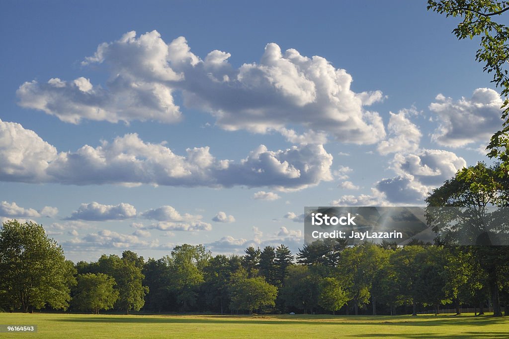 Nuages et les ombres dessus bordée d'arbres meadow en été. - Photo de Arbre libre de droits