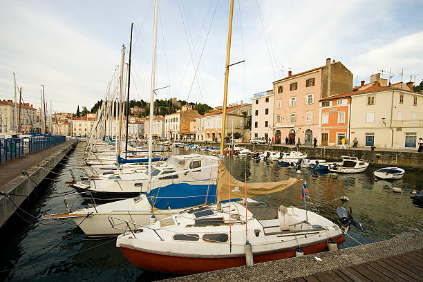 istock Marina of Piran 96164905