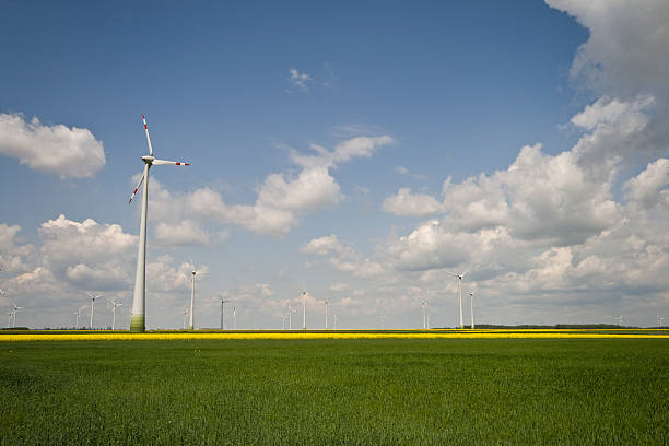istock Wind turbine farm and rapeseed field 96164942