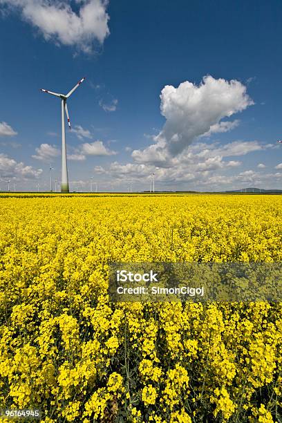 Foto de Turbina Eólica Atrás De Colza Oleaginosa Field e mais fotos de stock de Amarelo - Amarelo, Biologia, Biotecnologia