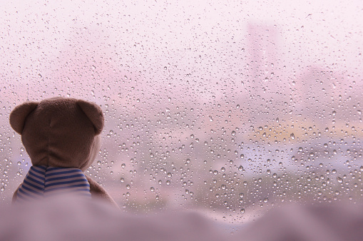 Lonely Teddy Bear sitting on bed and looking out at the window in rainy day. This photo has space background for text.
