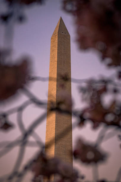 istock Washington, DC Cherry Blossom Festival Washington Monument 961667280