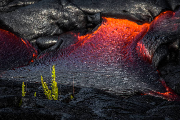 istock Lava flowing on Hawaii's Big Island 961668822
