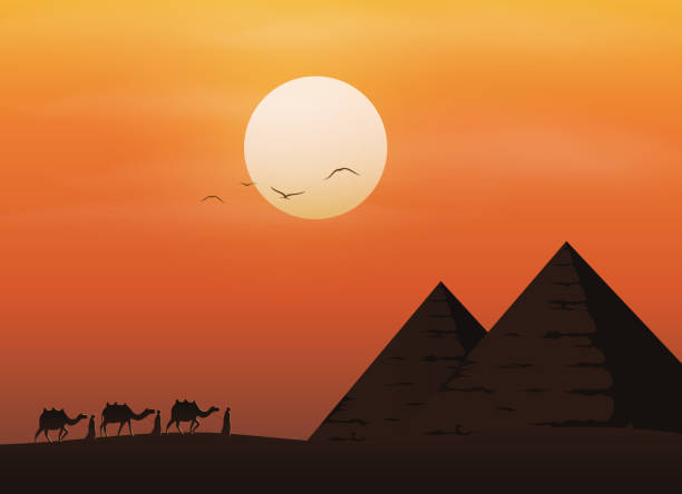 illustrazioni stock, clip art, cartoni animati e icone di tendenza di carovana con cammelli nel deserto con piramidi su uno splendido sfondo del tramonto - egypt cairo pyramid sunset