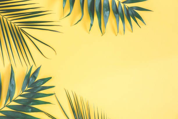istock Tropical palm leaves on yellow background. Flat lay, top view 961690332