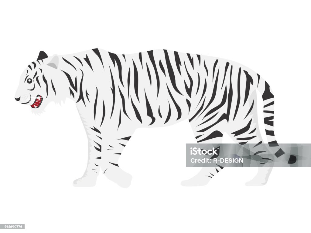 Illustration of White Tiger. Animal stock vector